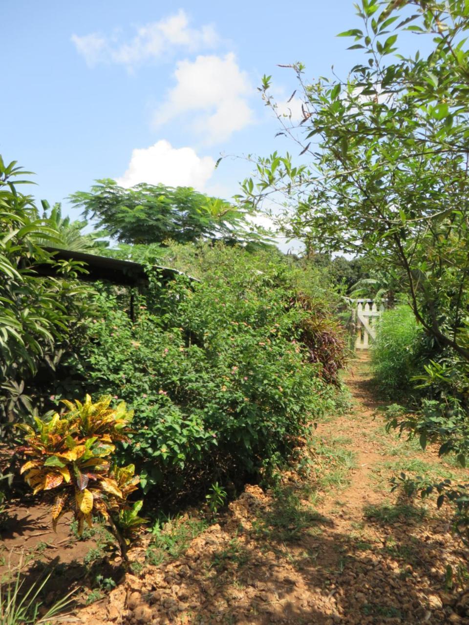Bahati Diani House Glamping Diani Beach Luaran gambar