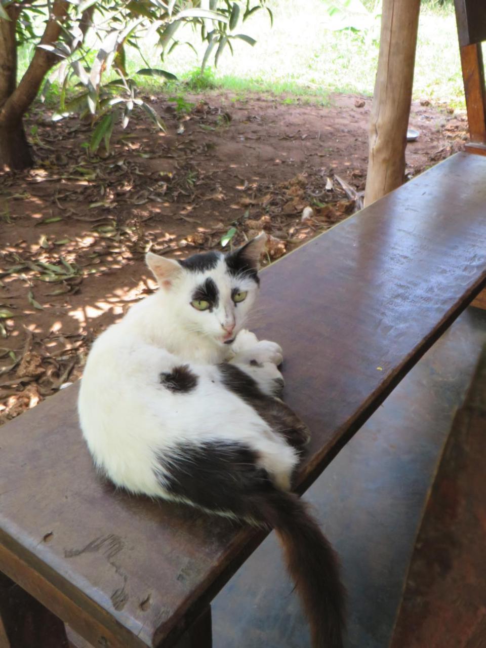 Bahati Diani House Glamping Diani Beach Luaran gambar