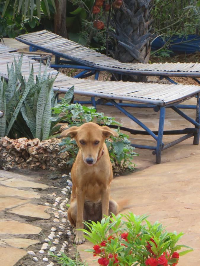 Bahati Diani House Glamping Diani Beach Luaran gambar